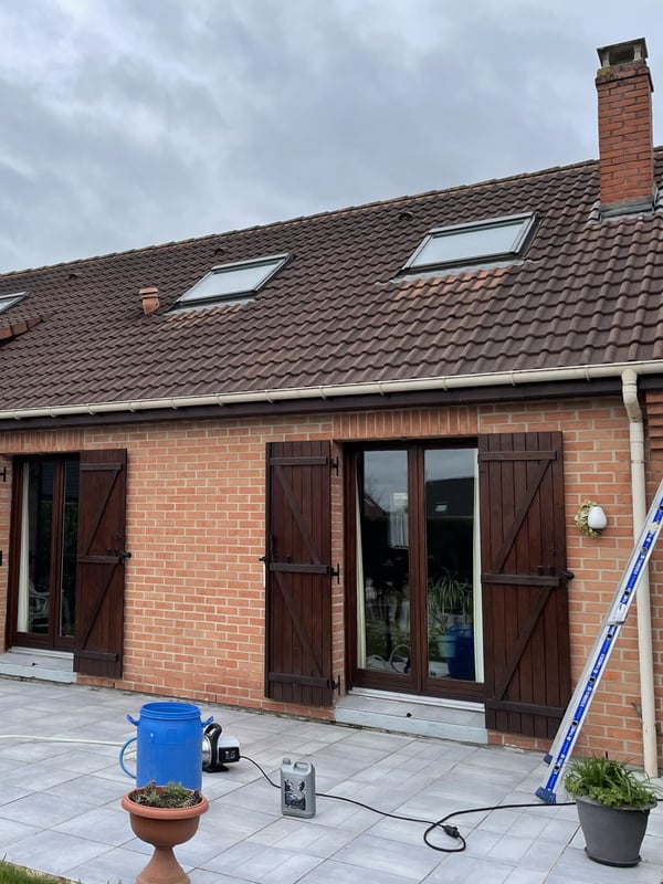 Démoussage de toiture avant